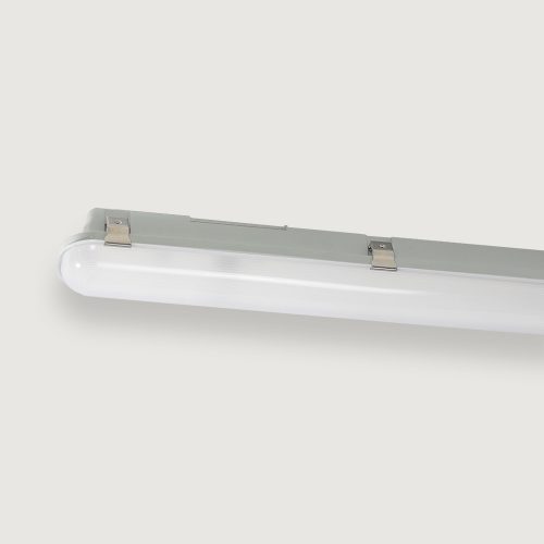 VP2F-M25W-CCT